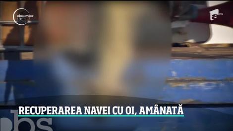 Recuperarea navei cu oi din portul Midia, amânată