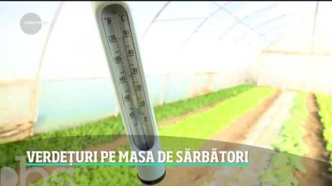 Verdețuri pe masa de sărbători