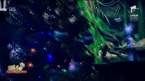 Smiley News - Neatza cu Răzvan și Dani. Țiparul care aprinde beculețele din bradul de Crăciun