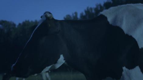 Situație de criză în Mangalița! O tornadă a lovit orașul!