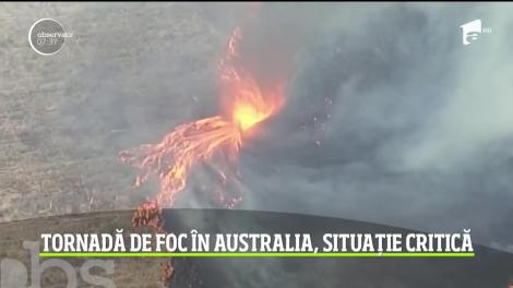 Tornadă de foc în Australia