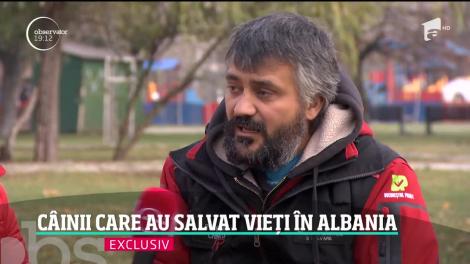 Billy şi Challapa, câinii care au salvat vieţi în Albania