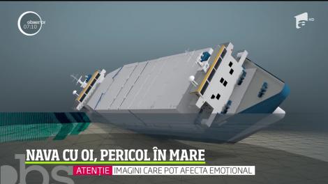 Nava cu peste 14.000 de oi moarte, pericol în mare