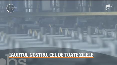 Iaurtul, alimentul cel mai sănătos din familia lactatelor