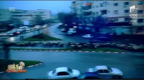 Video viral! Sute de oi au blocat circulația! Au ieșit la plimbare în oraș, iar șoferii au fost nevoiți să le dea prioritate