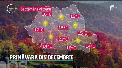 Temperaturi de primăvară la mijlocul lunii decembrie! Ne bucurăm de soare toată săptămâna