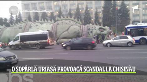 O sopârlă uriașă provoacă scandal la Chișinău
