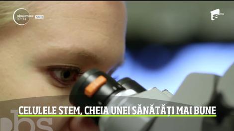 Medicina regenerativă cucereşte România. Terapiile cu celule stem promit să înlocuiască tratamente clasice şi să aibă un impact important asupra sănătăţii
