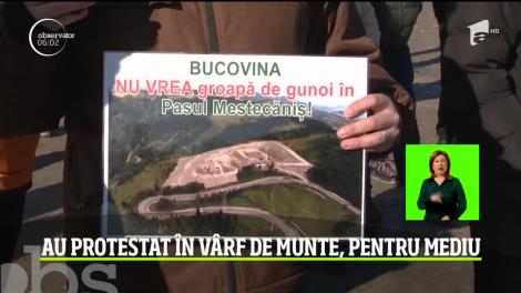 Au protestat în vârf de munte, pentru mediu. Aproape 200 de oameni  s-au strâns în Pasul Mestecăniş în încercarea de a opri deschiderea unei gropi de gunoi