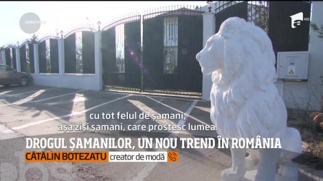 Drogul șamanilor, un nou trend în România