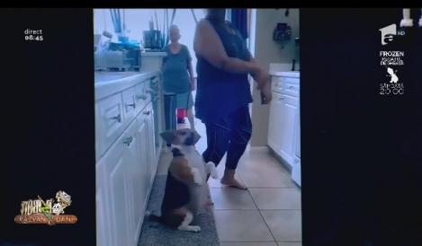 Smiley News - Neatza cu Răzvan și Dani. Fetița care cântă la tobe, cățelul dansator și banda inteligentă de transport bagaje