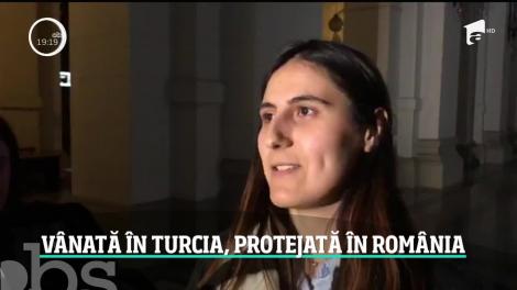 O profesoară de la un prestigios liceu din Capitală s-a trezit vânată de preşedintele turc Erdogan. Reţinută în această dimineaţă, tânăra face dezvăluiri uluitoare