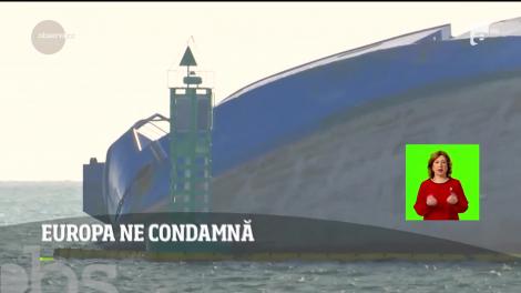 Scandalul oilor moarte în portul Constanța a ajuns până la Bruxelles. Oficialii europeni critică România  pentru transporturile barbare cu animale și cer explicații oficiale