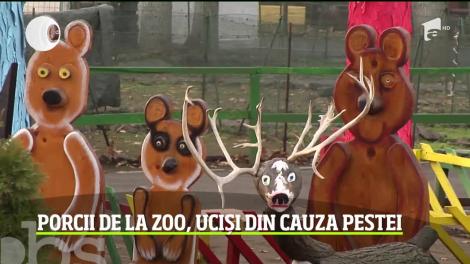 În zi de Ignat, zeci de animale au fost sacrificate la grădina Zoologică din Brăila