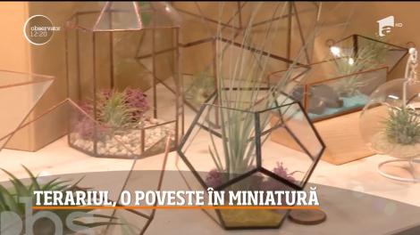 Idei inedite de cadouri pentru sărbători