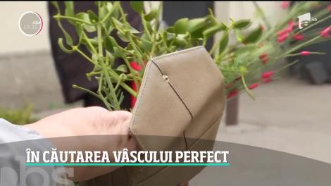 Agăţatul vâscului deasupra uşii, o tradiție de Revelion pe care românii o respectă cu sfințenie