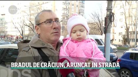 Bradul de Crăciun, aruncat la întâmplare în stradă