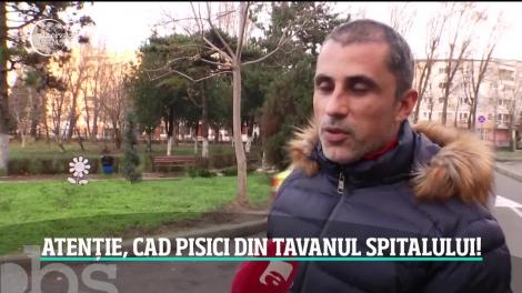 Atenţie, cad pisici din tavanul Spitalului Judeţean din Constanţa! Două feline s-au prăbuşit peste un pacient aflat pe targă