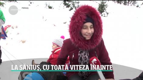 Atenţie, urs pe pârtie: este mesajul Ro-Alert trimis în premieră într-o staţiune de la munte!