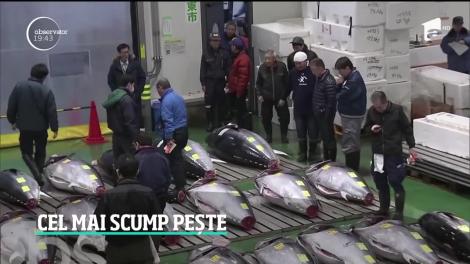 Cel mai scump ton din lume s-a vândut la piaţa de peşte din Tokyo