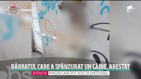 Bărbatul care a spânzurat un câine în centrul Capitalei a fost prins