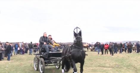 Botezul cailor, tradiția românilor în zi de sărbătoare. Obiceiul care aduce prosperitate tot anul