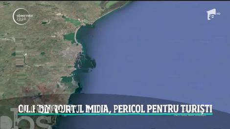 Staţiunea Mamaia e pe punctul să devină o bombă ecologică. Miile de oi care au murit în accidentul naval din portul Midia nu au fost scoase din apă