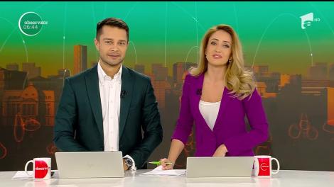 Pisică pofticioasă, totul pentru o masă bună