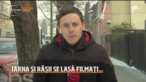 Râs, filmat într-o pădure din județul Suceava