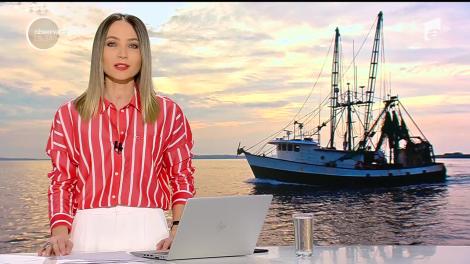 Pescuitul comercial, doar o tristă amintire. Oamenii de la Dunăre caută disperaţi soluţii să supravieţuiască