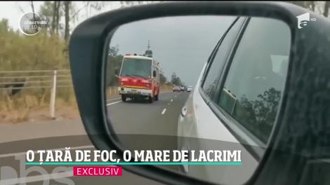 Australia, cel mai dureros loc de pe pământ. Încă un pompier a pierit în lupta cu focul