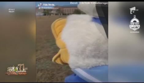 Neatza cu Răzvan și Dani. Totul despre aplicația TikTok. Ce este și cum funcționează