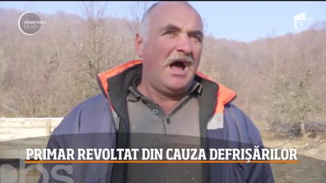 Un primar din Gorj le-a pus gând rău hoţilor de lemne! Vrea să strângă semnături ca să stopeze tăierile masive de pădure
