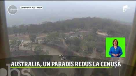 Australia, un paradis redus la cenușă!