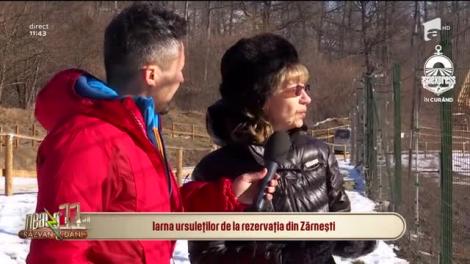Neatza cu Răzvan și Dani. Iarna ursuleților de la rezervația din Zărnești: Datorită ursoaicei Maya a apărut acest loc special