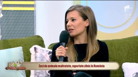 Neatza cu Răzvan și Dani. Petardele, spaima animalelor de companie: Cei care maltratează necuvântătoarele pot face și închisoare