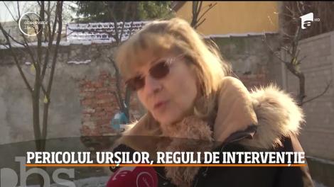 Pericolul urșilor, reguli de intervenție