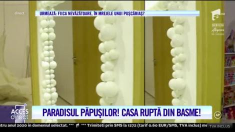 Oana Săvescu, designerul care trăiește într-o casă de păpuși!