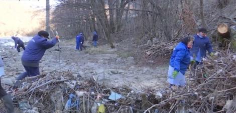 Angajaţii de la Apele Române au început curăţarea Defileului Jiului, care ajunsese să fie asfixiat de sticle de plastic şi copaci prăbuşiţi în apă