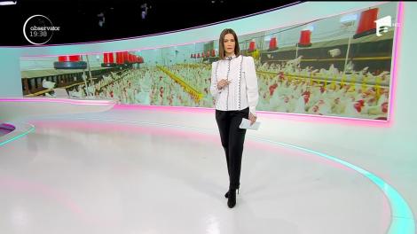 Gripa aviară se întoarce în România. Toate păsările crescute într-o fermă din Maramureş au fost răpuse de virus