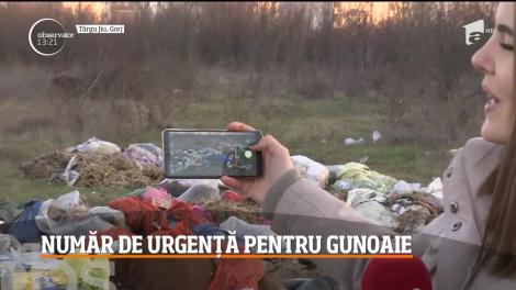 Număr de urgență pentru gunoaie, metoda prin care autorităţile din judeţul Gorj vor să încurajeze cetăţenii să anunţe locurile sufocate cu deşeuri