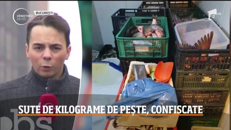 Sute de kilograme de peşte, confiscate în Bucureşti
