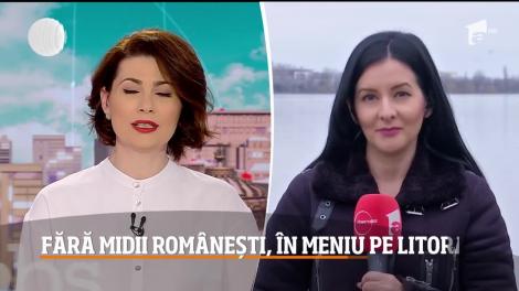 Midiile din Marea Neagră, interzise în meniurile restaurantelor de pe litoralul românesc
