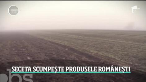 Lipsa zăpezii scumpește produsele românești
