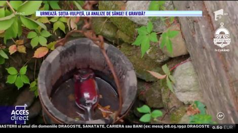 Gabriela Vladu cântă, la Acces Direct, melodia "Bea bărbatul meu de stinge"