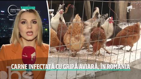 Alertă alimentară în vestul României: focar de gripă aviară