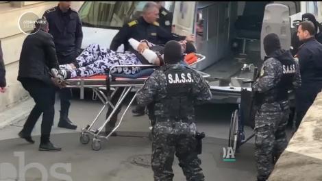 Bebino, liderul Clanului Sportivilor, în fața judecătorilor într-un trening cu urşi panda