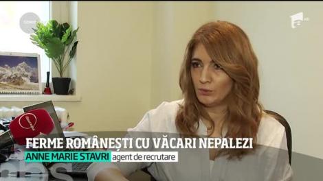 Fermă românească, angajaţi nepalezi. Tot mai mulţi asiatici ajung să lucreze în România