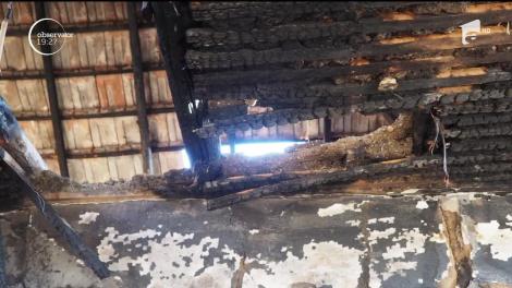 Câinele care a salvat de la moarte o familie din Teleorman