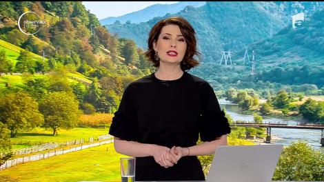 Gândacii care blochează construcția autostrăzii Sibiu- Piteşti, mutați cu ajutorul feromonilor. Specialişti au o altă părere